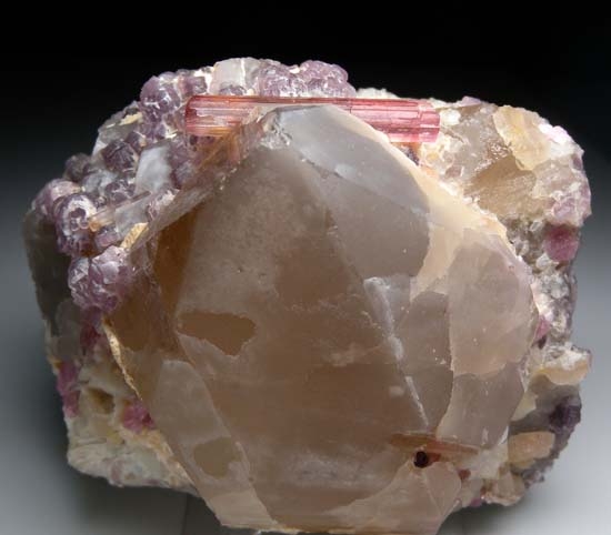 Elbaite on Quartz from Himalaya Mine, Mesa Grande, San Diego Co., California [db_pics/pics/b141a.jpg]