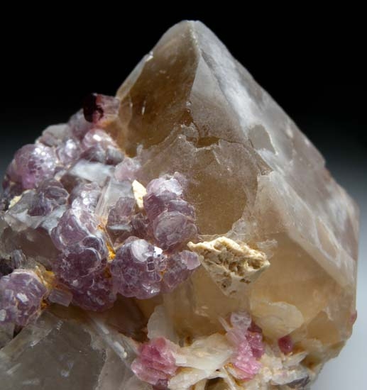 Elbaite on Quartz from Himalaya Mine, Mesa Grande, San Diego Co., California [db_pics/pics/b141b.jpg]