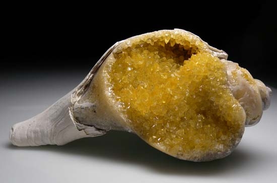 Calcite in fossil shell from St. Lucie County, Florida [db_pics/pics/b142a.jpg]