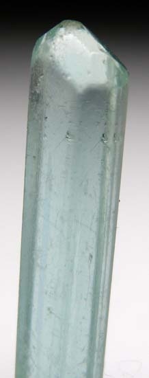 Apatite from Karo Pit, Block D, Merelani Hills, Arusha, Tanzania [db_pics/pics/b211b.jpg]