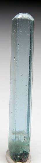 Apatite from Karo Pit, Block D, Merelani Hills, Arusha, Tanzania [db_pics/pics/b215a.jpg]
