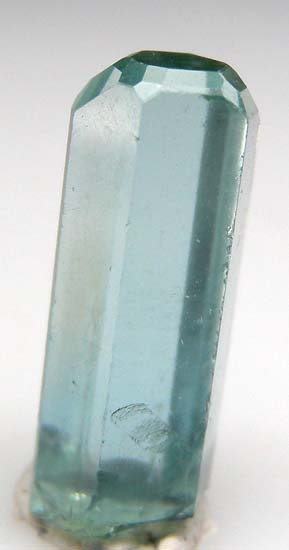 Apatite from Karo Pit, Block D, Merelani Hills, Arusha, Tanzania [db_pics/pics/b219b.jpg]