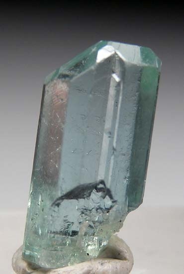 Apatite from Karo Pit, Block D, Merelani Hills, Arusha, Tanzania [db_pics/pics/b223a.jpg]