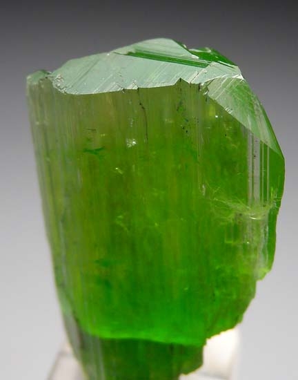 Chrome Tremolite from Karo Pit, Block D, Merelani Hills, Arusha, Tanzania [db_pics/pics/b272c.jpg]