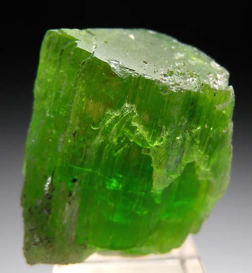 Chrome Tremolite from Karo Pit, Block D, Merelani Hills, Arusha, Tanzania [db_pics/pics/b276a.jpg]