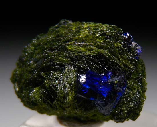 Azurite on Volborthite from Volborthite Pocket, Milpillas Mine, Cuitaca, Sonora, Mexico [db_pics/pics/b297a.jpg]