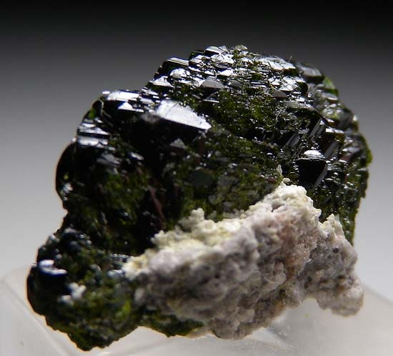 Volborthite from Volborthite Pocket, Milpillas Mine, Cuitaca, Sonora, Mexico [db_pics/pics/b299c.jpg]