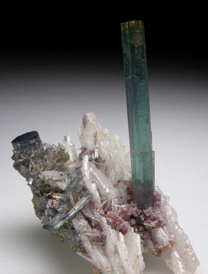 Elbaite from Pederniera Mine, Minas Gerais, Brazil [db_pics/pics/b350d.jpg]