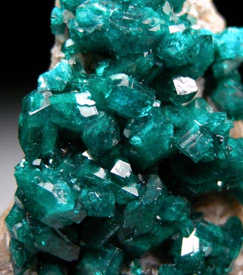 Dioptase from Katanga, Congo [db_pics/pics/b362c.jpg]