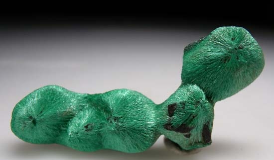 Malachite from Milpillas Mine, Cuitaca, Sonora, Mexico [db_pics/pics/b410c.jpg]