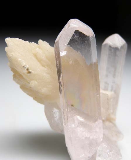 Danburite on Calcite from Charcas, San Luis Potosi, Mexico [db_pics/pics/b473b.jpg]