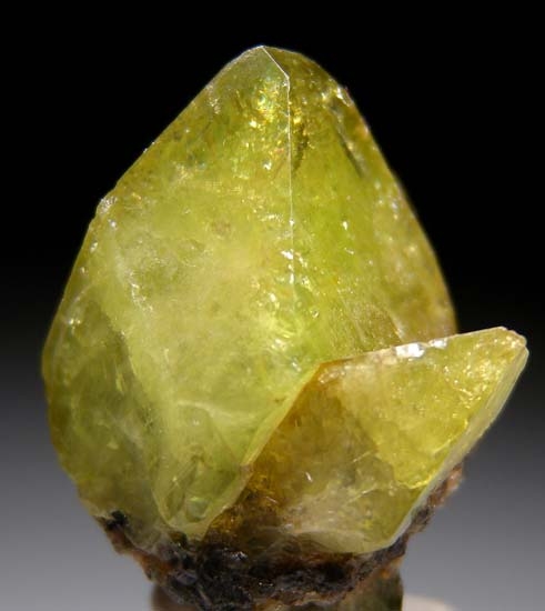 Sphene from Tormiq, Skardu Dist., Pakistan [db_pics/pics/b477a.jpg]