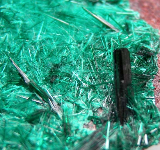 Brochantite from Milpillas Mine, Cuitaca, Sonora, Mexico [db_pics/pics/b493d.jpg]