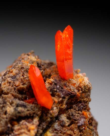 Wulfenite from Red Cloud Mine, La Paz Co., Arizona [db_pics/pics/b521b.jpg]