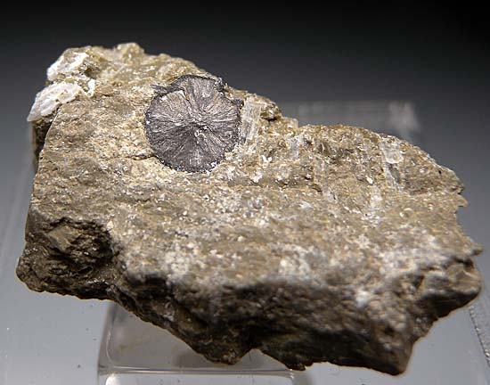 Stibnite from Western Mine, Kramer Deposit, Kern Co., California [db_pics/pics/b540a.jpg]