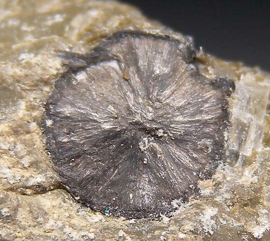 Stibnite from Western Mine, Kramer Deposit, Kern Co., California [db_pics/pics/b540b.jpg]