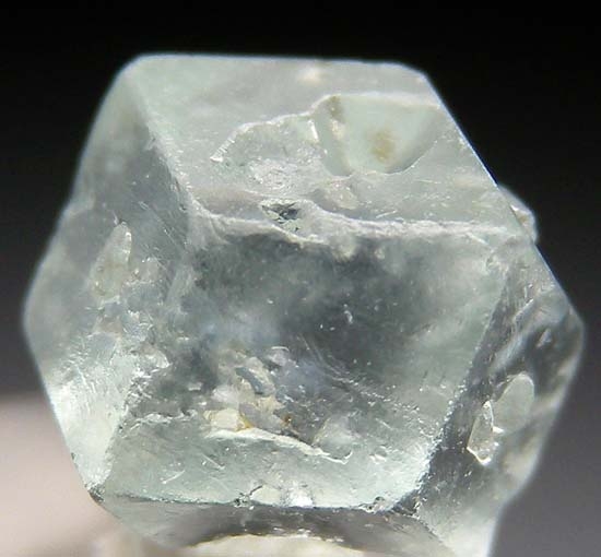 Boracite from Luneberg, Niedersachsen, Germany [db_pics/pics/b545b.jpg]