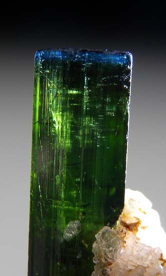 Lepidolite on Elbaite from Pederniera Mine, Minas Gerais, Brazil [db_pics/pics/b547c.jpg]