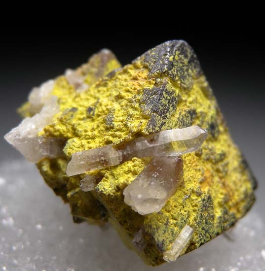 Stolzite on Scheelite from Mundo Nuevo Mine, La Libertad, Peru [db_pics/pics/b557b.jpg]