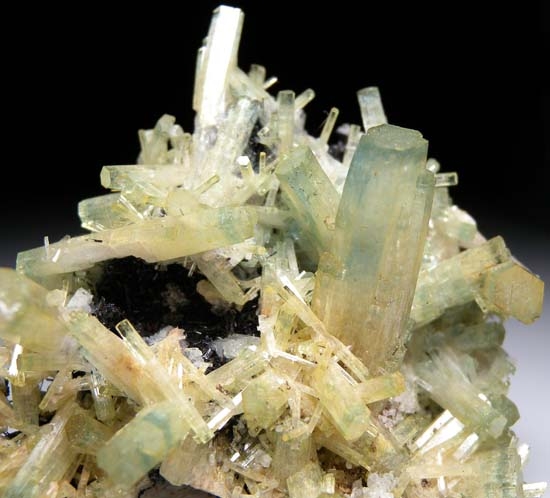 Aquamarine on Schorl from Erongo Region, Namibia [db_pics/pics/b610d.jpg]