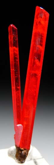 Crocoite from Red Lead Mine, Dundas, Tasmania, Australia [db_pics/pics/b652a.jpg]