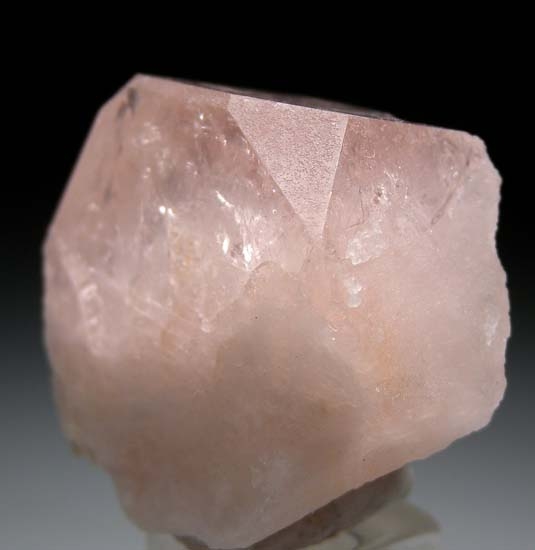 Morganite from White Queen Mine, Pala, San Diego County, California [db_pics/pics/b729c.jpg]