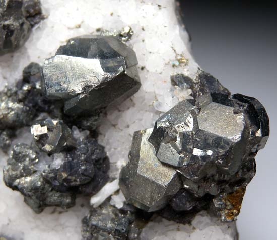 Tenantite from El Cobre Mine, Zacatecas, Mexico [db_pics/pics/b731c.jpg]