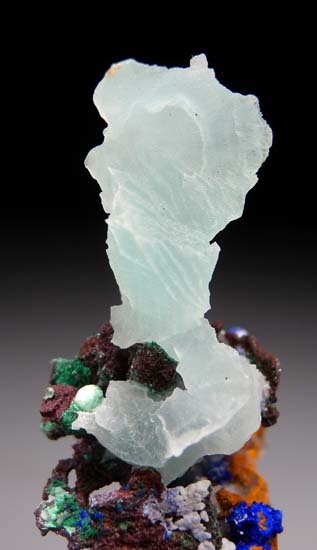 Cuprian Aragonite on Copper with Azurite from Laurium, Greece [db_pics/pics/b743c.jpg]