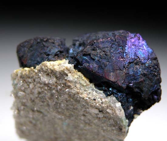 Bornite from Mine 65, Dzeszhkazgan, Kazakhstan [db_pics/pics/b753c.jpg]