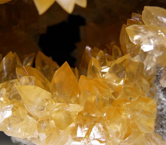 Calcite in Shell from Okechobee County, Florida [db_pics/pics/b756c.jpg]