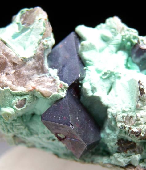 Cuprite on Chrysocolla from Mashamba West Mine, Katanga, Congo [db_pics/pics/b767c.jpg]