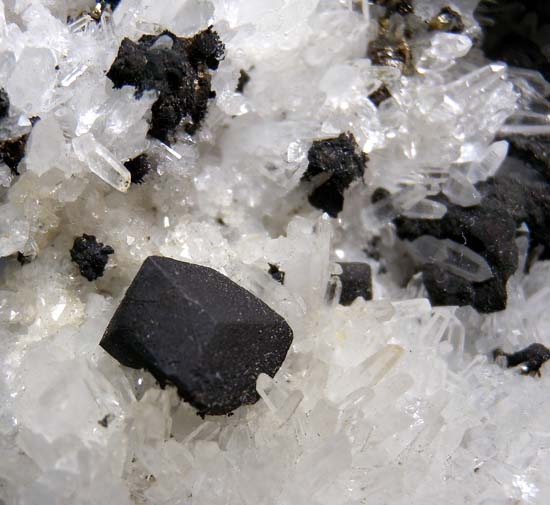 Bornite on Quartz from Calusa Mine, Butte, Silverbow Co., Montana, USA [db_pics/pics/b771c.jpg]