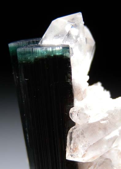 Elbaite from Stak Nala, Skardu District, Pakistan [db_pics/pics/b779b.jpg]