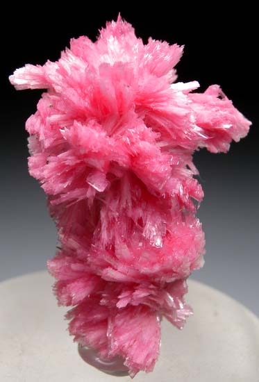 Rhodonite from San MartÃ­n Mine, Chiurucu, Ancash Department, Peru [db_pics/pics/b798a.jpg]
