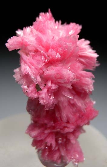 Rhodonite from San MartÃ­n Mine, Chiurucu, Ancash Department, Peru [db_pics/pics/b798b.jpg]