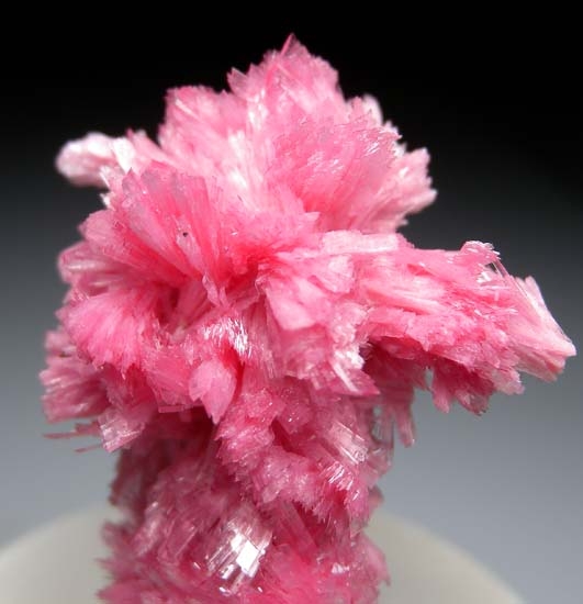 Rhodonite from San MartÃ­n Mine, Chiurucu, Ancash Department, Peru [db_pics/pics/b798c.jpg]