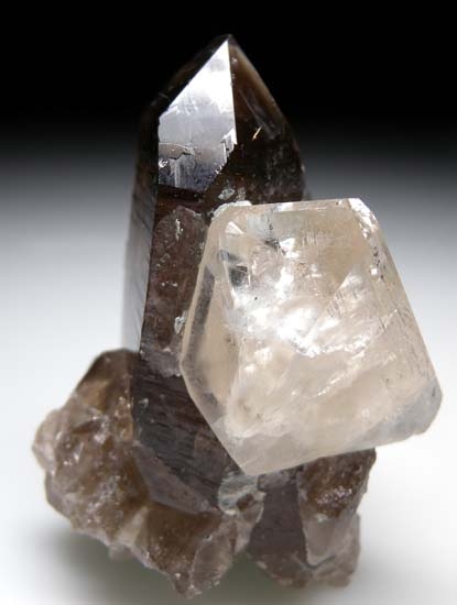 Topaz on Quartz from Zambia [db_pics/pics/b805a.jpg]