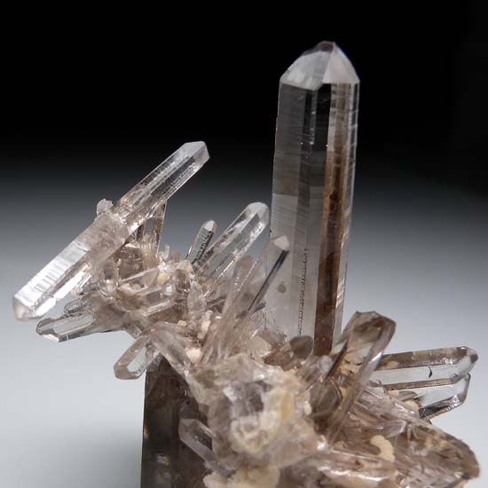 Smokey Quartz from Lincoln Co., New Mexico, USA [db_pics/pics/b806b.jpg]