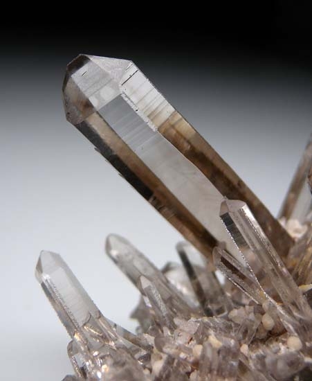 Smokey Quartz from Lincoln Co., New Mexico, USA [db_pics/pics/b806c.jpg]