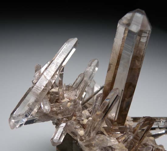 Smokey Quartz from Lincoln Co., New Mexico, USA [db_pics/pics/b806d.jpg]