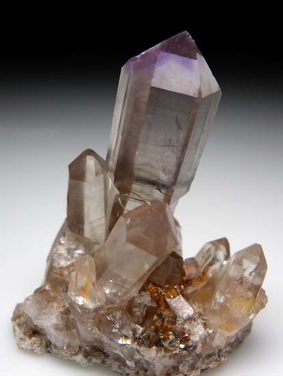 Quartz scepter from King Co., Washington, USA [db_pics/pics/b809a.jpg]