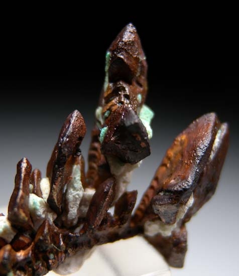 Copper from Keeweenaw Peninsula, Michigan, USA [db_pics/pics/b810b.jpg]