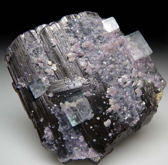 Fluorite on Ferberite from Yaogangxian Mine, Hunan, China [db_pics/pics/b834c.jpg]