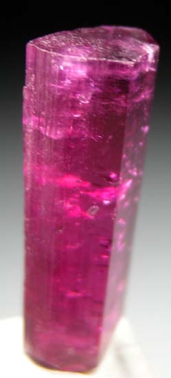 Elbaite from Jonas Mine, Itataia, Minas Gerais, Brazil [db_pics/pics/b863c.jpg]