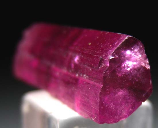 Elbaite from Jonas Mine, Itataia, Minas Gerais, Brazil [db_pics/pics/b863d.jpg]