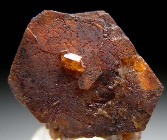 Bastnasite-(Ce) from Zagi Mountain, Peshawar, Pakistan [db_pics/pics/b866b.jpg]