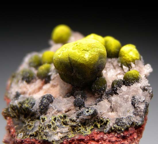 Mottramite from Tsumeb, Namibia [db_pics/pics/b912c.jpg]