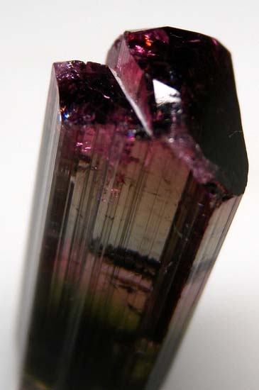 Liddicoatite from AntsirabÃ©, Antananarivo Province, Madagascar [db_pics/pics/b920b.jpg]