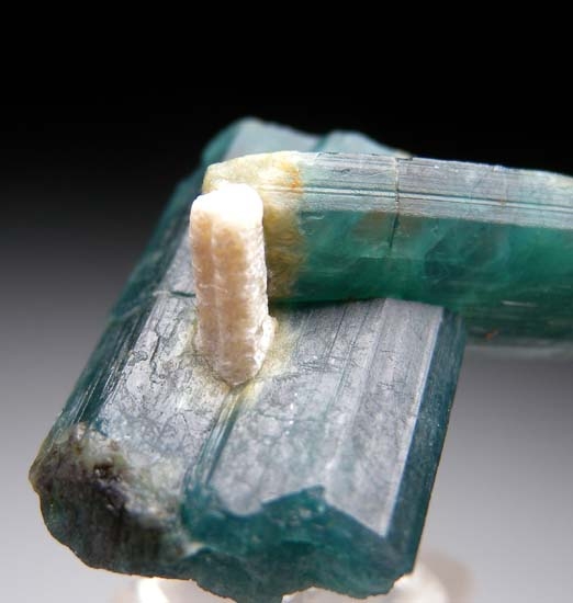 Grandidierite from Anosy Region, Tulear Province, Madagascar [db_pics/pics/b929c.jpg]