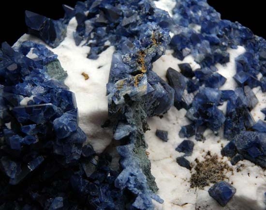 Benitoite from Gem Mine, San Benito Co., California, USA [db_pics/pics/ben1d.jpg]
